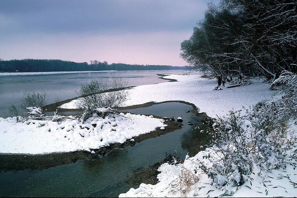 Landhotel Wachau Emmersdorf an der Donau Εξωτερικό φωτογραφία