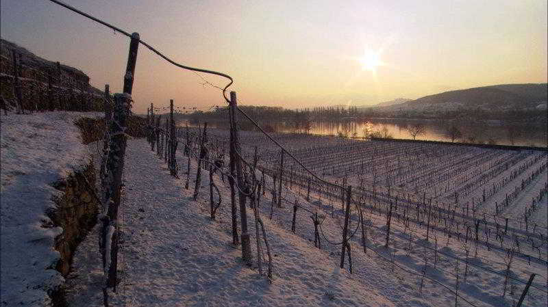 Landhotel Wachau Emmersdorf an der Donau Εξωτερικό φωτογραφία